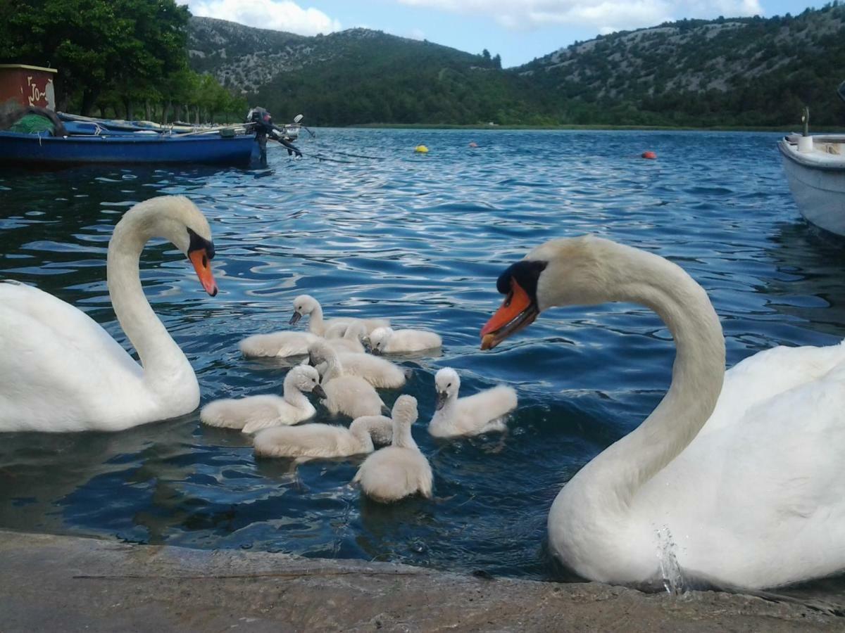 Apartman Hill Hotel Skradin Kültér fotó